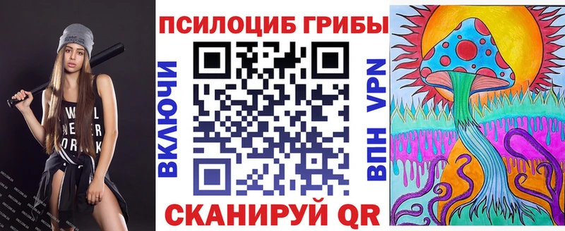 omg ССЫЛКА  купить   Абакан  Псилоцибиновые грибы мицелий 